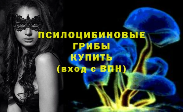 МДПВ Алексин