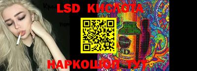 mdpv Камышлов