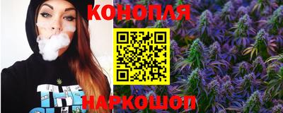 mdpv Камышлов