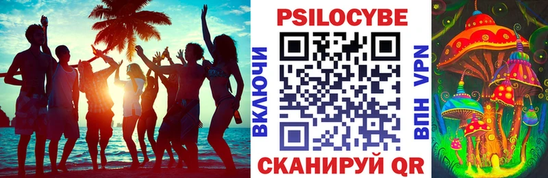 Псилоцибиновые грибы Cubensis  Невинномысск 