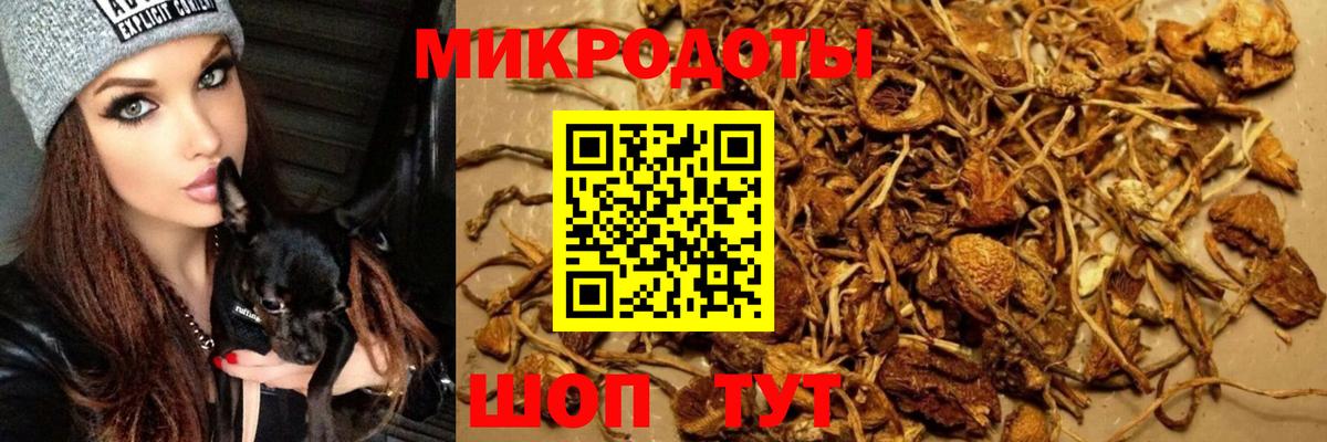 Невинномысск  LSD-25  Бошки Шишки  Меф   Вход с VPN  Кокаин  ГАШ 
