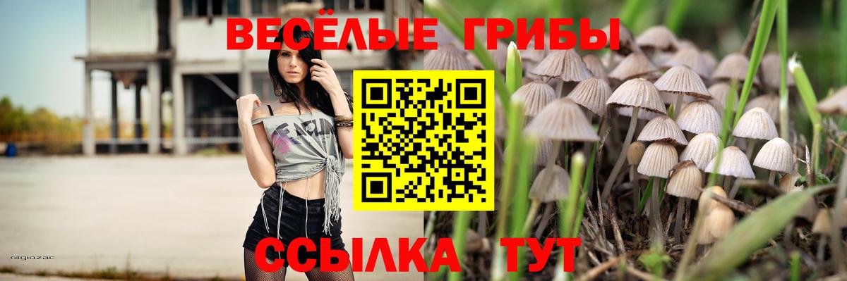 Невинномысск  Галлюциногенные грибы Psilocybe  Вход с VPN 